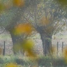 Charmehotel De stokerij te Oudenburg, West-Vlaanderen - Overnachten nabij Brugge, Oostende en De Haan